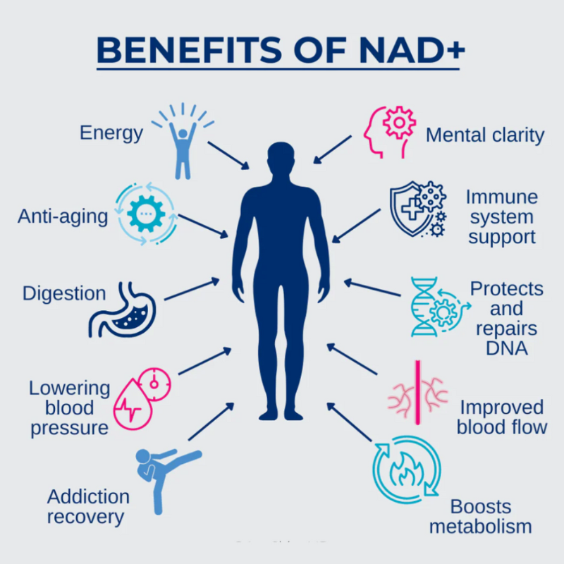 NAD+ Nicotinamide Riboside + Resveratrol (900mg, 60 Capsules)