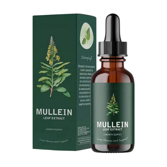 Mullein for Lung Health – Herbal Tincture (30ml)